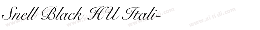 Snell Black HU Itali字体转换